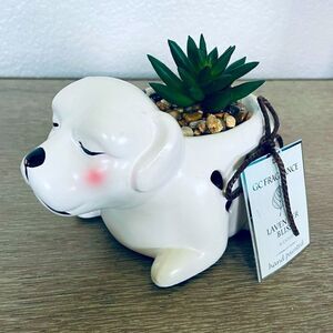 Sleeping Dog Scented Ceramic Succulent Plant Decor